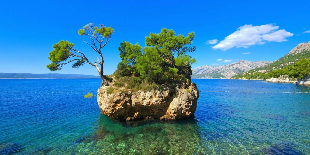 Apartman Mlikota Zagvozd Εξωτερικό φωτογραφία